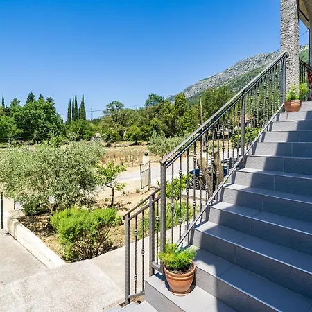 Apartment Laurel Leaf Lovorno