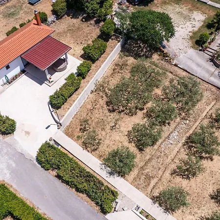 Apartment Laurel Leaf Lovorno