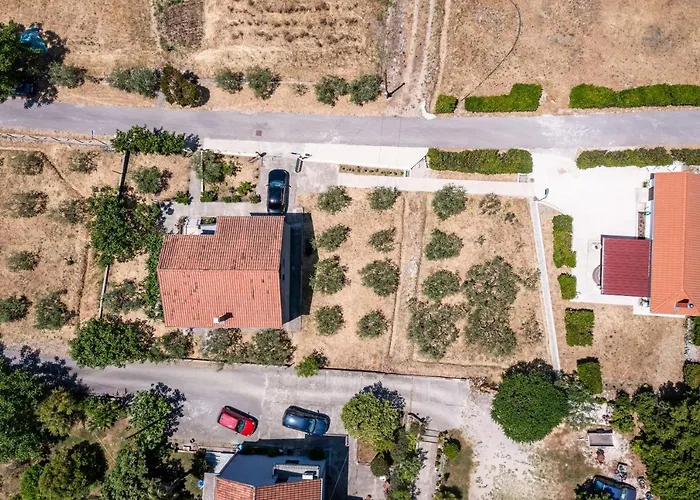 Apartment Laurel Leaf Lovorno