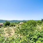 Laurel Leaf * Lovorno