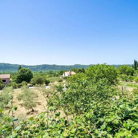 Laurel Leaf * Lovorno