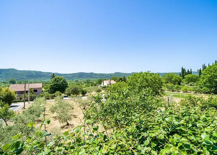 Laurel Leaf * Lovorno