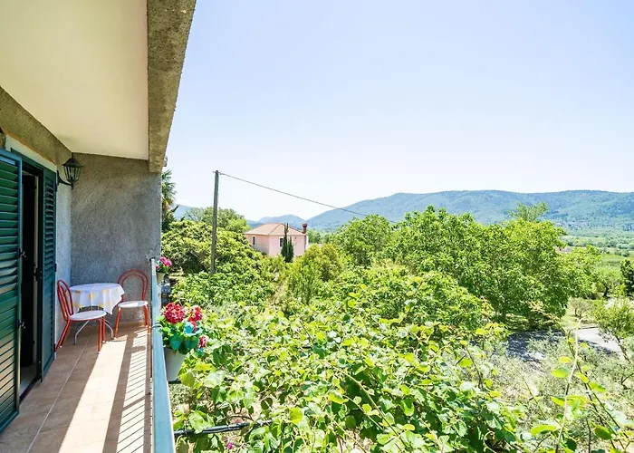 Laurel Leaf * Lovorno